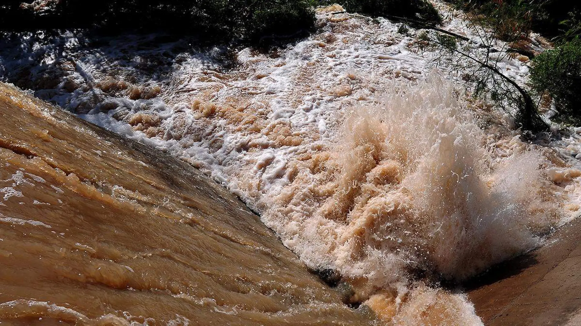 Presa el Molinito (7)